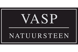 Logo VASP Logo VASP